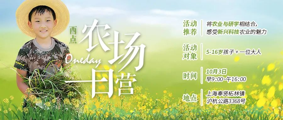 【上海本地亲子营】 十一悠然农场一日营开始预定，228一大一小够玩一天！,上海亲子活动